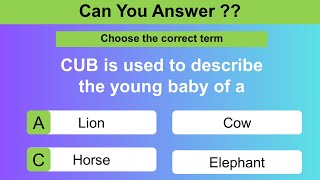 Can you answer these questions??||Choose the correct term|| Part 01|| Brain Fun