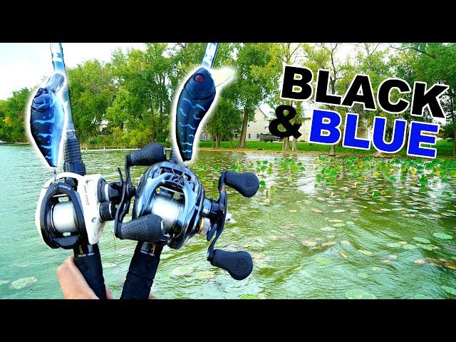 Black and Blue Lures ONLY Fishing Challenge!!! 