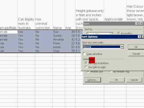 Hiremysmile.com.au Spreadsheet Sort Function