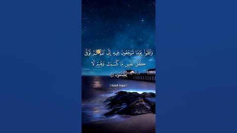 واتقوا يوماً ترجعون فيه إلى الله/بصوت أبي المنتصر /حالات واتس قرآن بصوت جميل ايات قرانيه#سوره_البقره