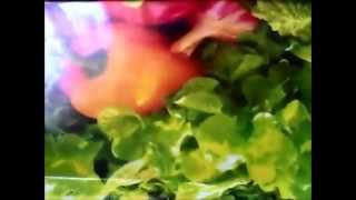 Индийская кухня .Карри Индийская кухня .Карри