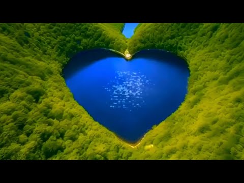 ТЭЛИК-ПОД СЕРДЦА СТУК #песнисосмыслом