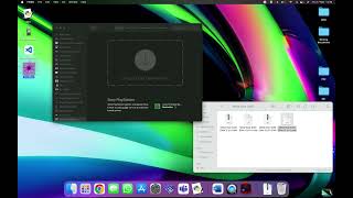 How To Use Multi-Disc Games on OpenEMU - Retro Gaming - Twitch/TikTok screenshot 4