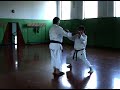 Фрагмент тренировки с сенсеем Йорга. Ката СЕСУБАМА-ЯМА | Training with Jorga Sensei. Kata SETSU
