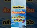 ผลเลือด ที่เป็นสัญญาณเตือน กล้ามเนื้อหัวใจขาดเลือด