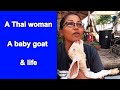 A thai woman a baby goat  life in rural thailand