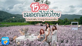 15 พิกัดชมดอกไม้ทั่วไทย ไปแล้วฟิน ถ่ายรูปจนเมมเต็ม
