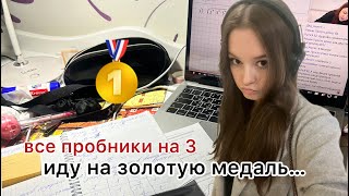 неделя до сдачи егэ *влог*