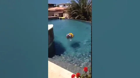 Bulldog loves to swim