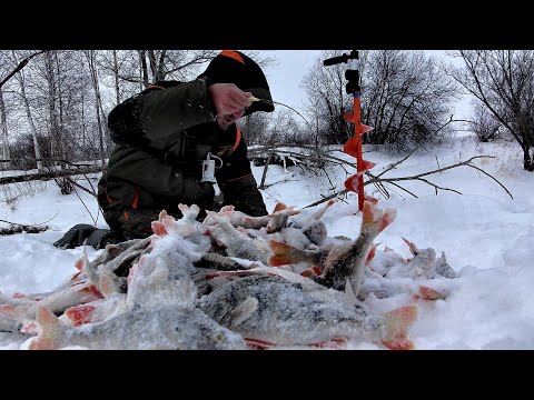 ТУТ ХОТЬ 5 МЕШКОВ ЛОВИ...Рыбалка там где рыбы много! Рыбалка на Оби на блесну.