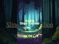 Enchanted Streaming Overlay Pack Shop: https://dutchmotiondesigns.etsy.com #twitchoverlay #vtuber
