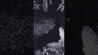 #atmospheric #shoegaze #dnbmix #atmosphericjungle #musicmix #breakcoremix #musicplaylist #music