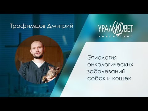 Этиология онкологических заболеваний собак и кошек. Лектор Дмитрий Трофимцов #убвк_онкология