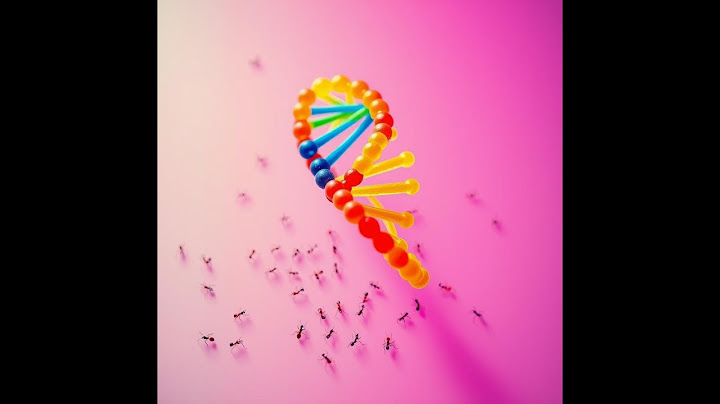 [COMPTINE] Les secrets de l’ADN