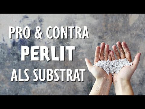 Sind Perlite wirklich immer das perfekte Substrat? Pro und Contra aller Eigenschaften!