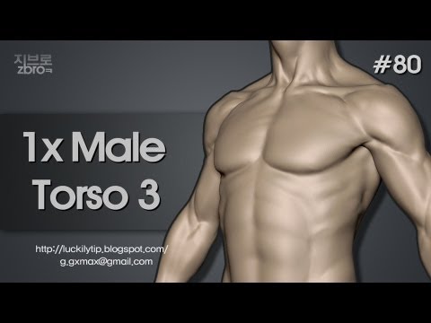 how to get make a torso in zbrush