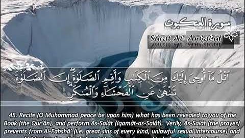 الشيخ ماهر المعيقلي سورة العنكبوت - جودة عالية | Maher Almuaiqly Surat Al-Ankaboot - High Quality