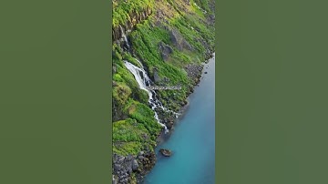 وَإِذْ قَالَ إِبْرَٰهِـۧمُ رَبِّ أَرِنِى كَيْفَ تُحْيِ ٱلْمَوْتَىٰۖ / سورة البقرة اية 260/ #جدي