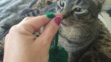 How to Make Easy Crochet Catnip Toys for Cats