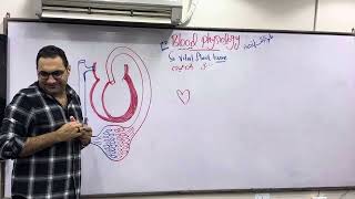 Blood Physiology -1 دكتور الشريف للدفعة ١٩٧ قصر العيني