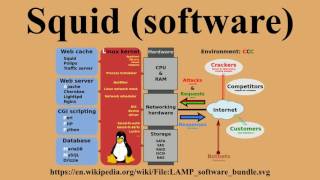 Squid (software)