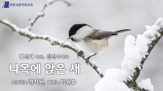 (창작가곡) 나목에 앉은 새 (황선태 작시 / 신진수 작곡 / 소프라노 정지원 / 피아노 박원후)