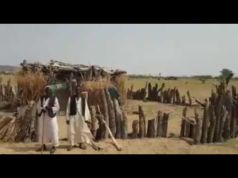 وتستمر معاناة اهلنا في شرق السودان ولاية كسلا محلية همشكوريب مركز صحي قرية تنابراي