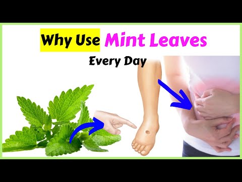 Mint Leaves: 10 Health Benefits That Surprise