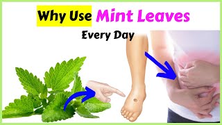 Mint Leaves 10 Health Benefits That Surprise You