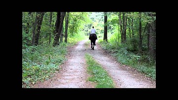 COM128: Elements and Compositional Techniques