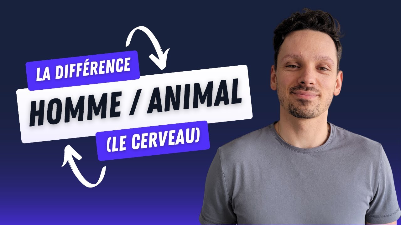 Homme et Animal : Quelles différences ? - YouTube