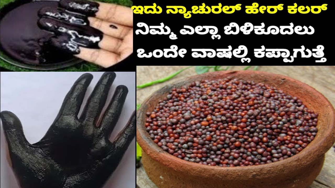 1 ಸೆಕೆಂಡಿನಲ್ಲಿ ಬಿಳಿ ಕೂದಲು ಕಪ್ಪಾಗುತ್ತೆ ಇದು ನ್ಯಾಚುರಲ್ ಕಲರ್  ಒಮ್ಮೆಹಚ್ಚಿ ನೋಡಿ ನೀವೇ ಬೆರಗಾಗುತೀರಾ#Hairdye