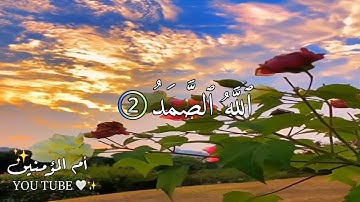 راحة نفسية 🌸- حالات واتس اب دينية - ستوريات قرآن كريم🌸 - مقاطع انستغرام دينية قصيرة - سورة الإخلاص