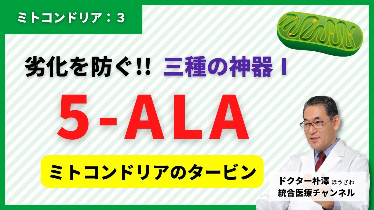 【医師解説：ミトコンドリア③】ミトコンドリアのタービンを作る！生命の根源物質”５-ALA”とは。