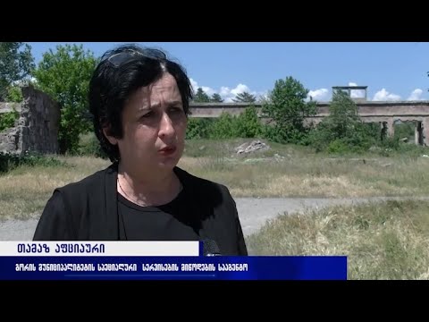 მომრავლებული ქვეწარმავლები გორში