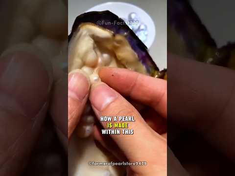 How Do Oysters