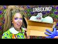 MONSTER Creature Unboxing!- (Vlogoween Day 9)