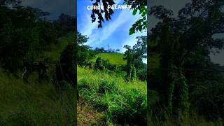#coronpalawan #mttapyas #withmyfamily