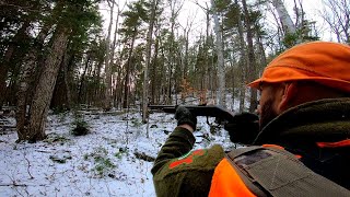 Tracking in the Big Woods | Fishercat and Coyotes