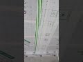 Vapour Barrier Sealed &amp; Taped for Airtightness | Construction Detail in Dublin (QS Insight)