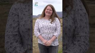 Uist in a Word: Life and Learning in the Outer Hebrides
