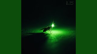 Fearless Fireflies Alone