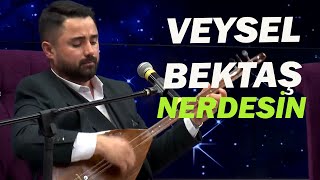 Veysel Bektaş l Nerdesin Resimi