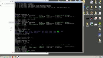 Linux Slackware: BASH Server Script Tutorial  Email Information Requesting (SSMTP, Fetchmail)