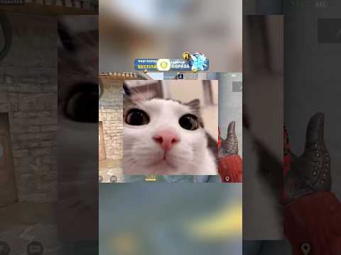 Цена растут в СТАНДОФФ 2 #nemajorniy #standoff2 #веляstandoff2 #стандофф2