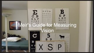 SFSH Meir Schneider's Webisode #3 - Meir's Guide for Measuring Vision screenshot 4