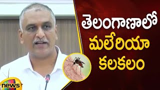 Health Minister Harish Rao About New Malaria Cases Reported In Telangana Districts | Mango News