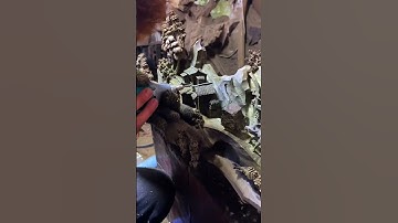 #shorts chế tác tiểu cảnh #reviewtuonggodocdao #tuonggodocdao #dogodocdao