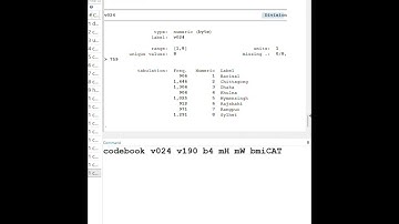 How to see codebook in Stata #stata #excel #datanalysis