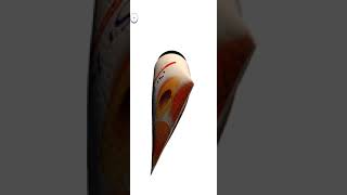 IDRAC Haptic Texture